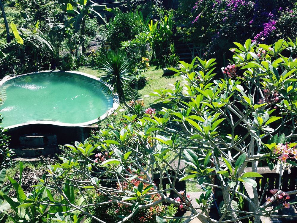 Oyo 1946 Terrace Campuhan Ubud Exterior foto